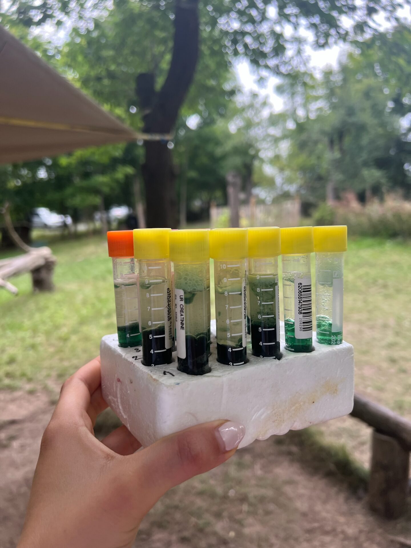 Tábor s koníky - Příroda pod lupou - Image 4