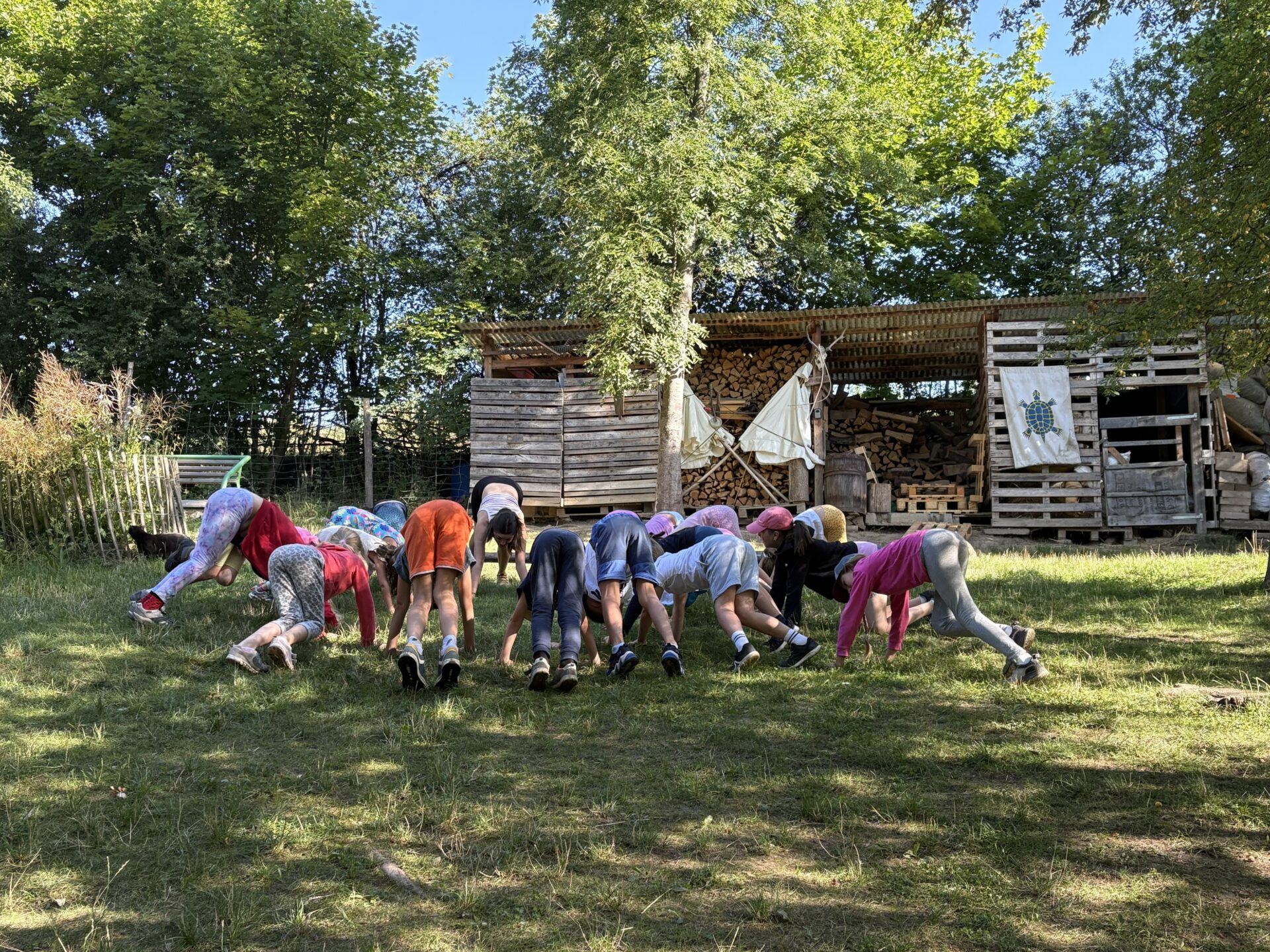 Tábor s koníky - Příroda pod lupou - Image 5